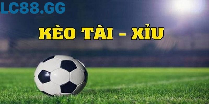 9+ Mẹo bắt kèo tài xỉu giúp bạn tăng tỷ lệ thắng lớn